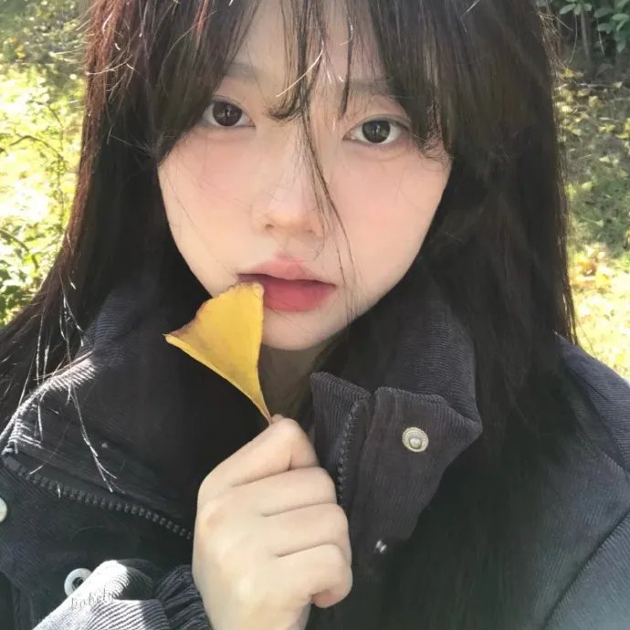 惊险的假期